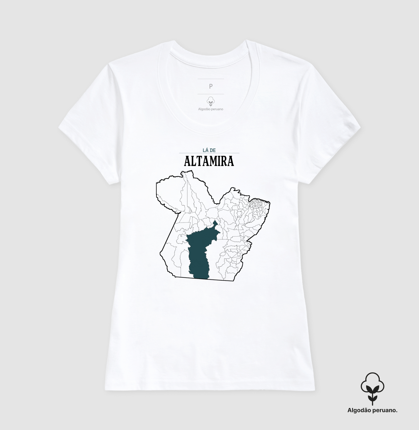 Altamira | Território PA - Imagem 4