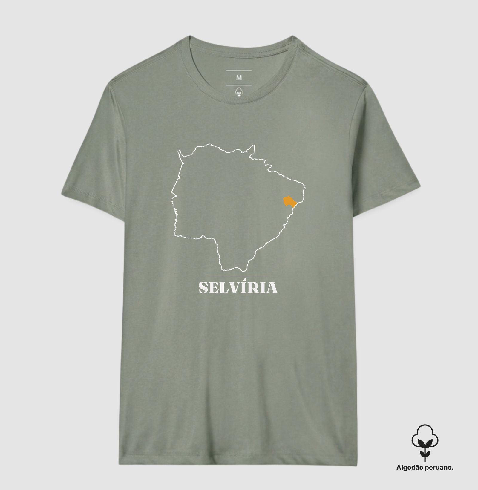 Selvíria | Traço MS - Imagem 3