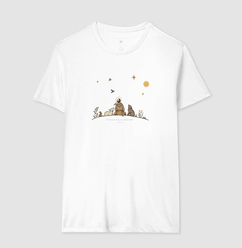 São Francisco e as estrelas - Imagem 4