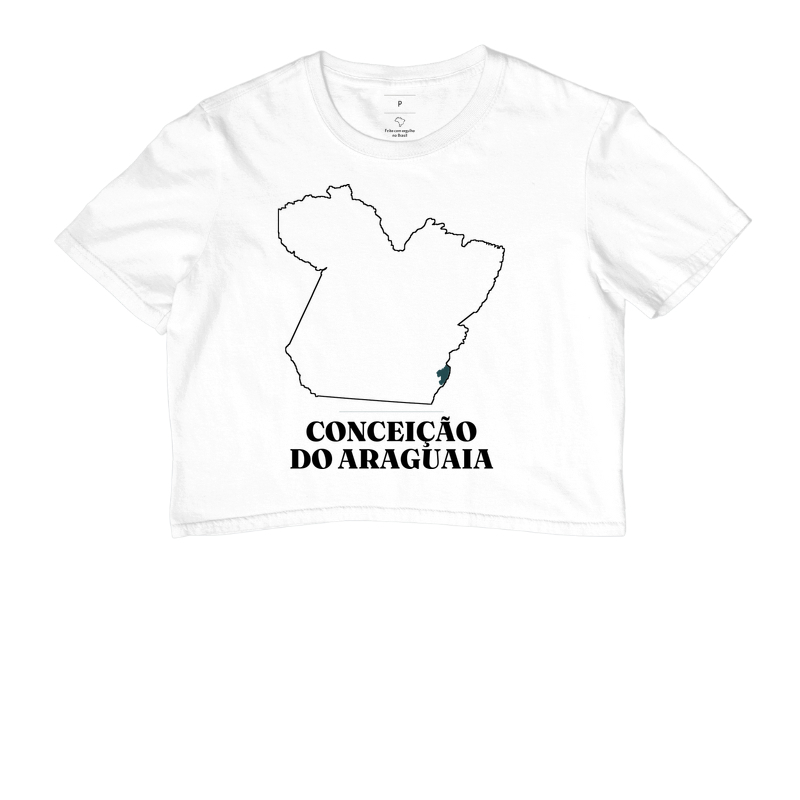 Conceição do Araguaia | Traço PA - Imagem 3