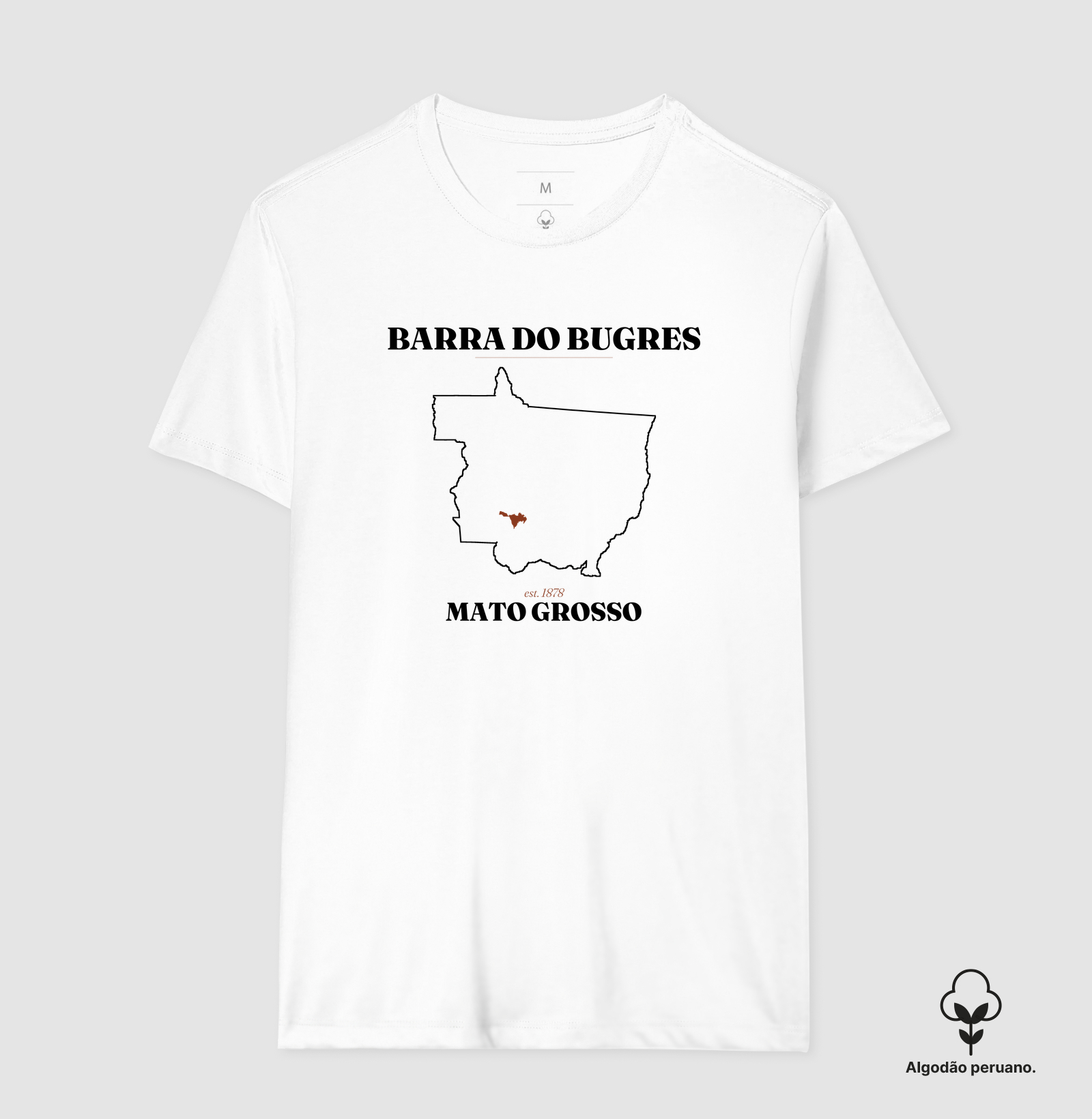 Barra do Bugres | Legado MT - Imagem 7