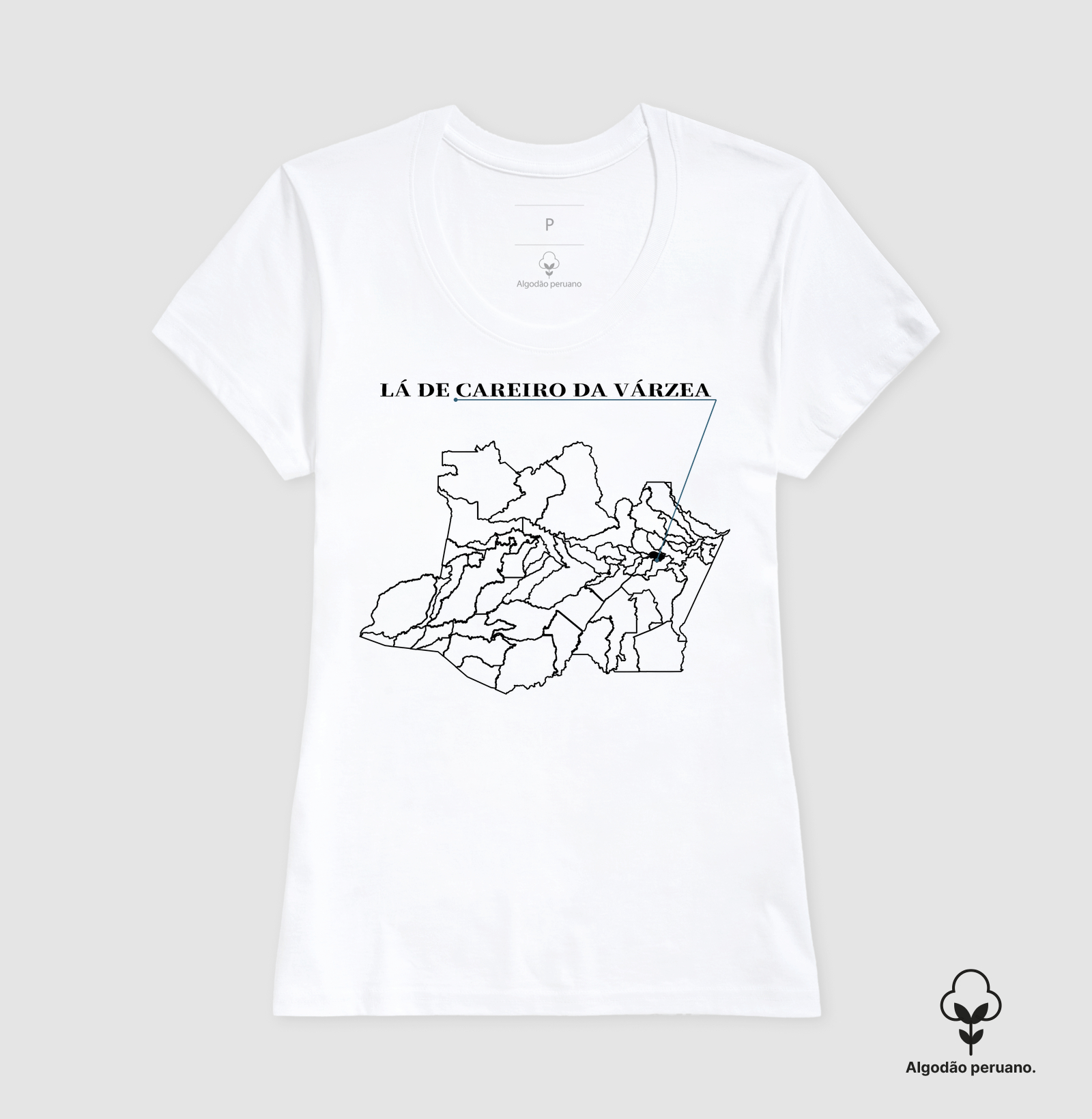 Careiro da Várzea | Origem AM - Imagem 7