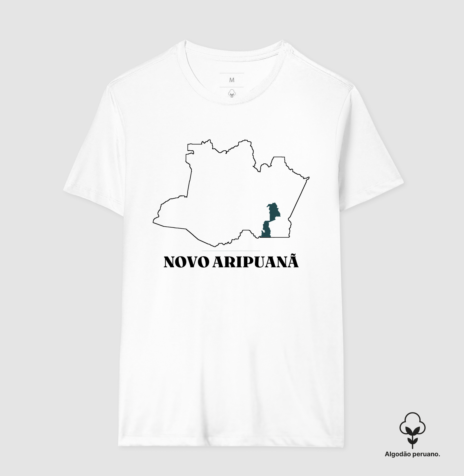 Novo Aripuanã | Traço AM - Imagem 2