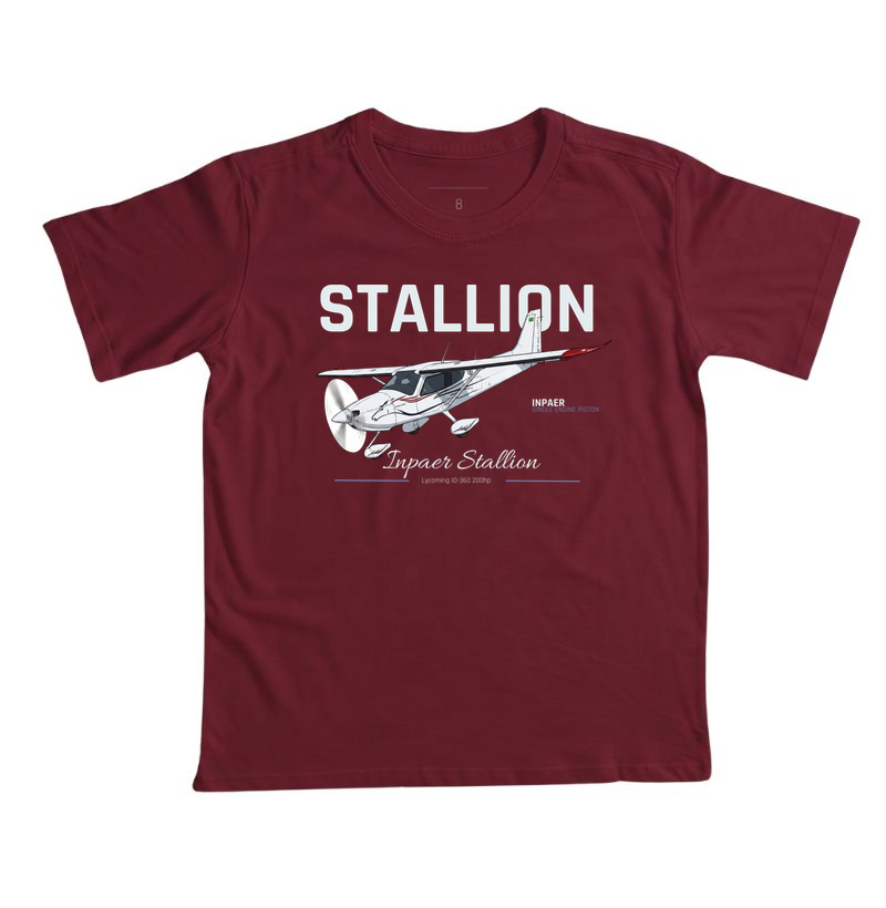  Inpaer Stallion - Imagem 7