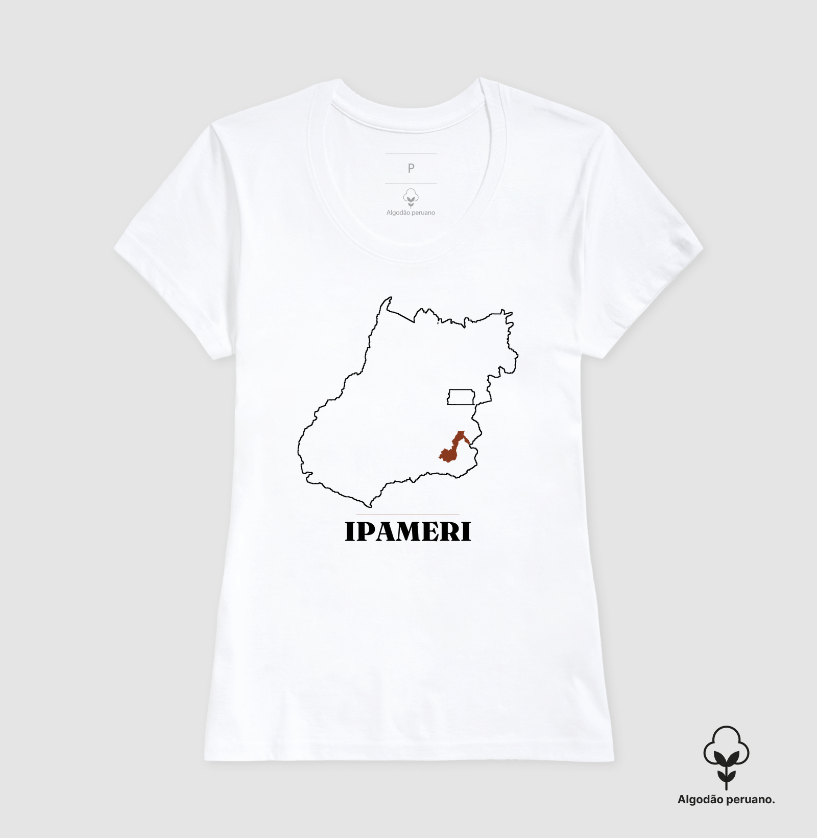 Ipameri | Traço GO - Imagem 8