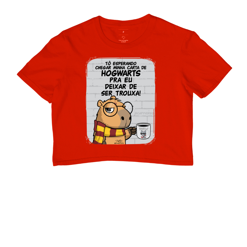 Camiseta Capivara Trouxa - Imagem 7