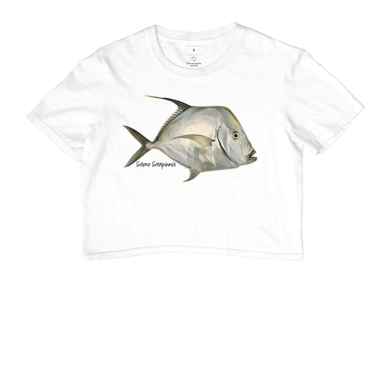 Peixe-Galo - Imagem 3