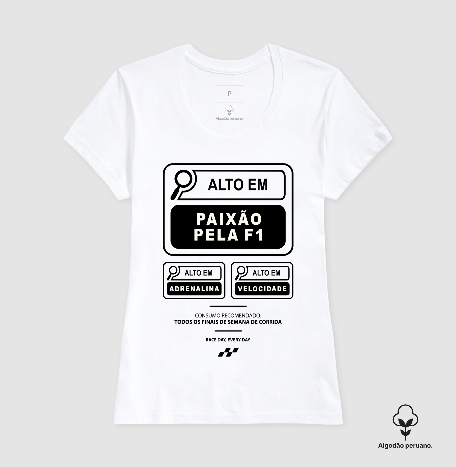 Alto em Paixão pela F1 - Imagem 5