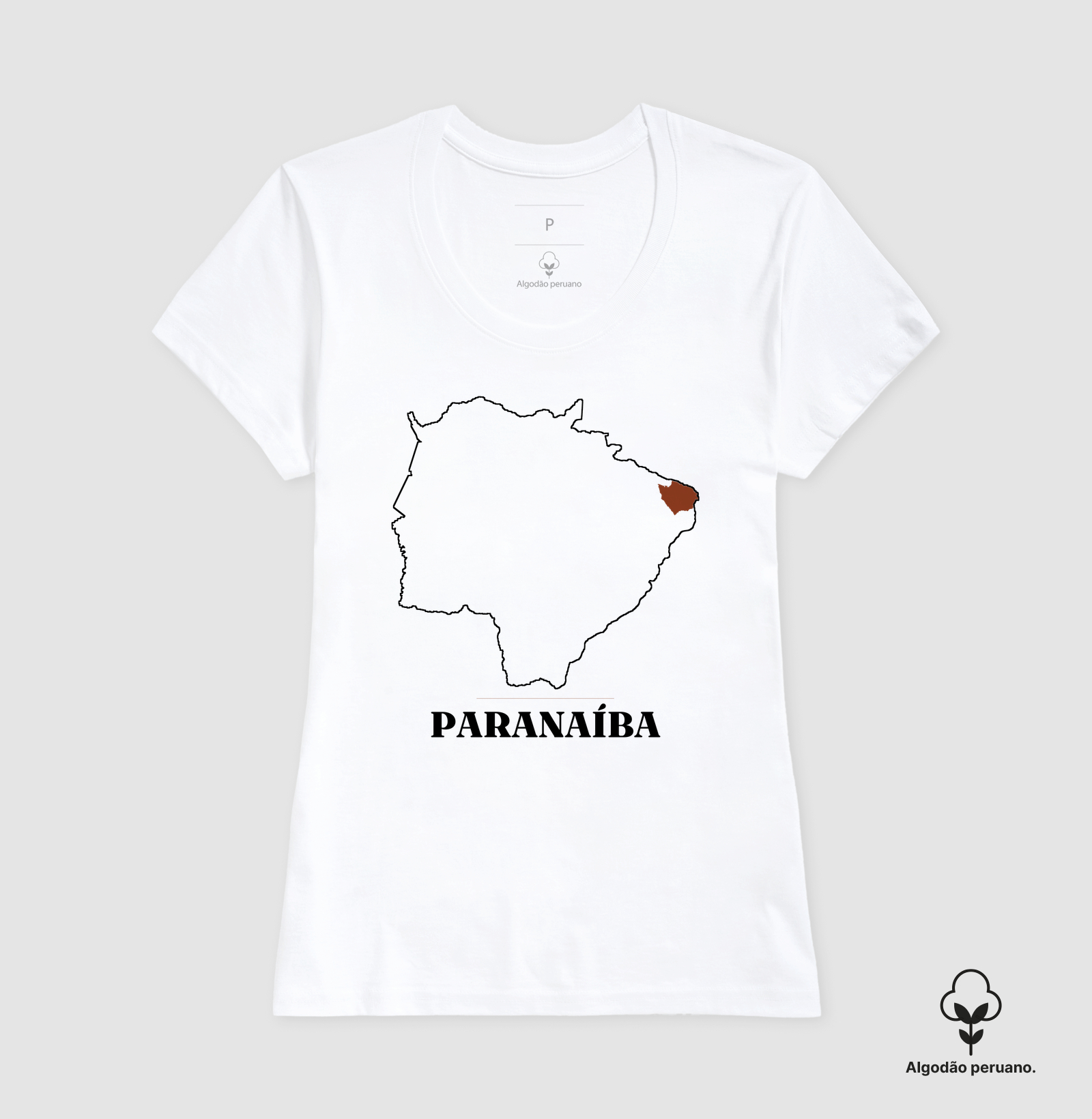 Paranaíba | Traço MS - Imagem 6