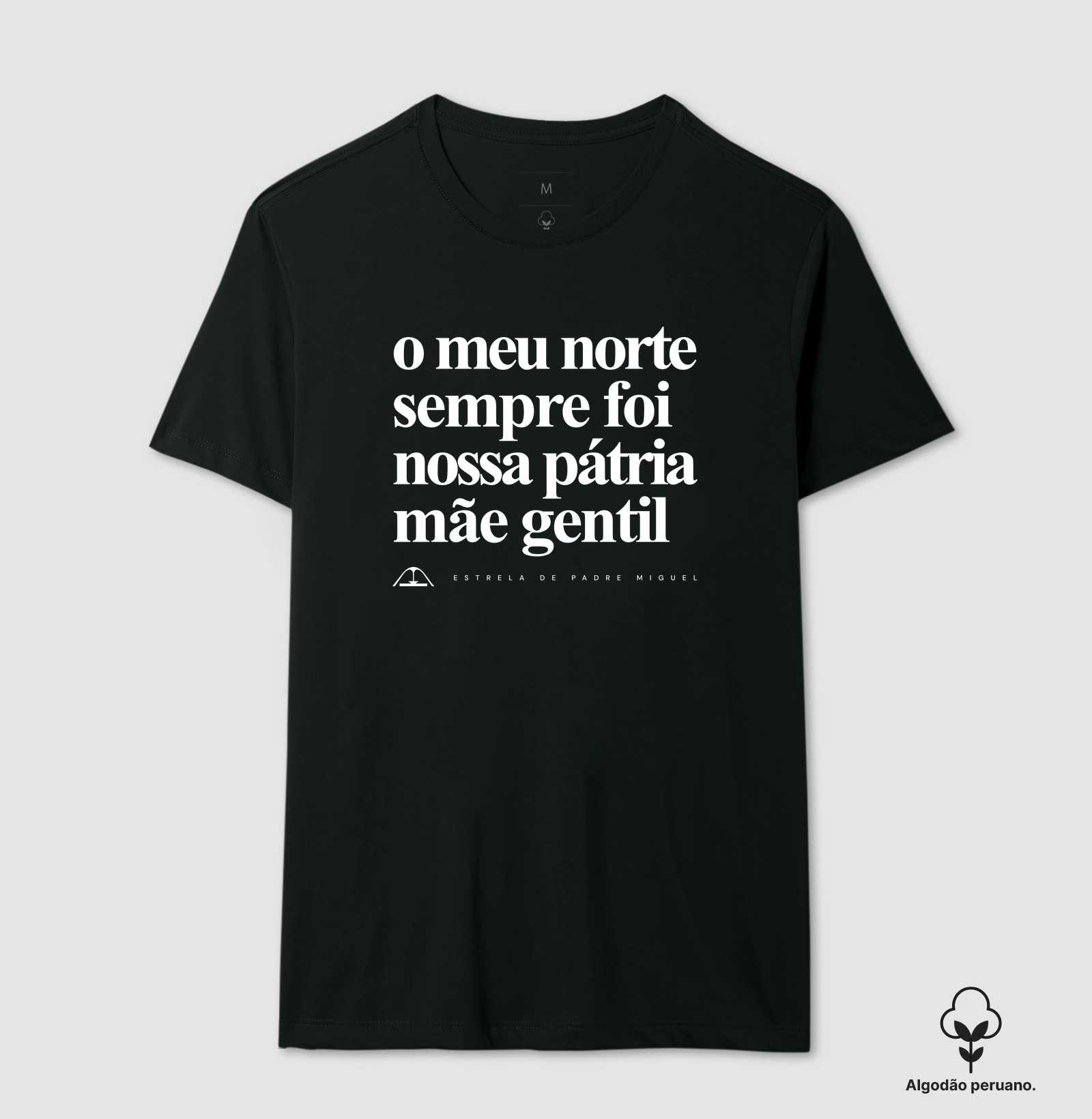 O meu norte sempre foi nossa pátria mãe gentil - Imagem 5