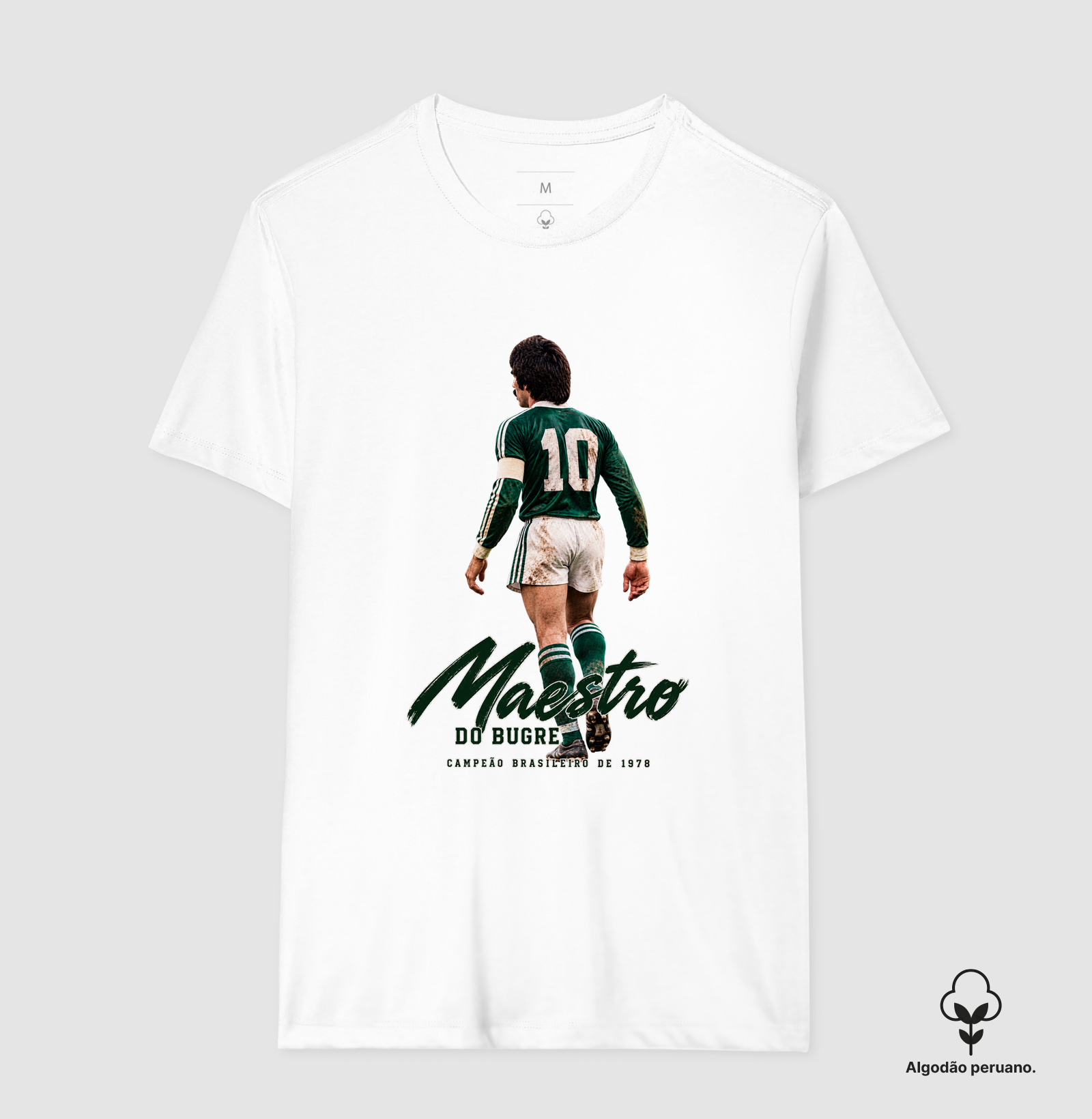 MAESTRO DO BUGRE - Imagem 7