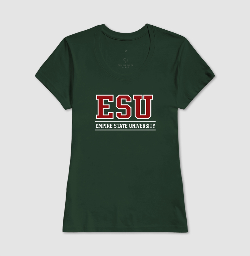 Empire State University - Imagem 12