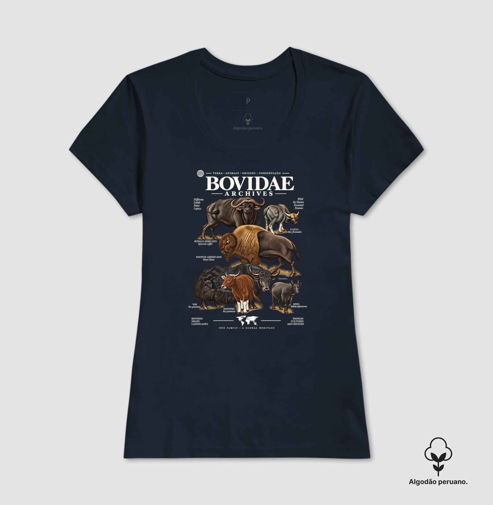 Bovidae Archives - Imagem 9