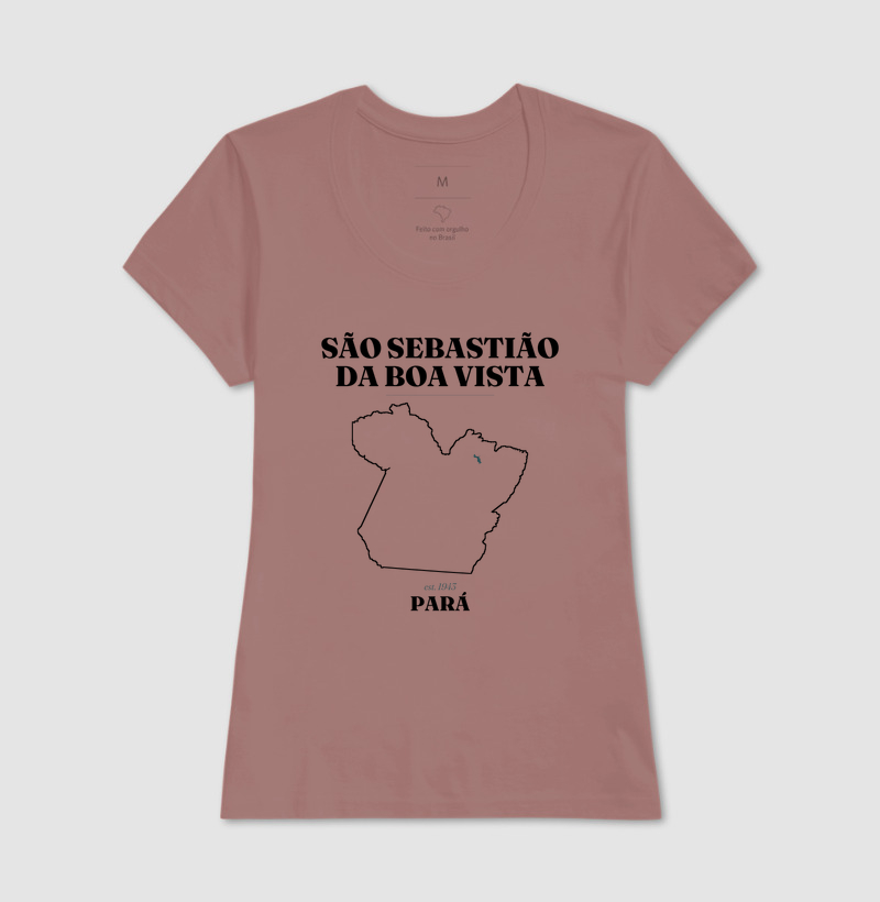 São Sebastião da Boa Vista | Legado PA - Imagem 17