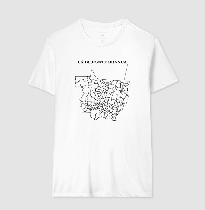 Ponte Branca | Origem MT - Imagem 4