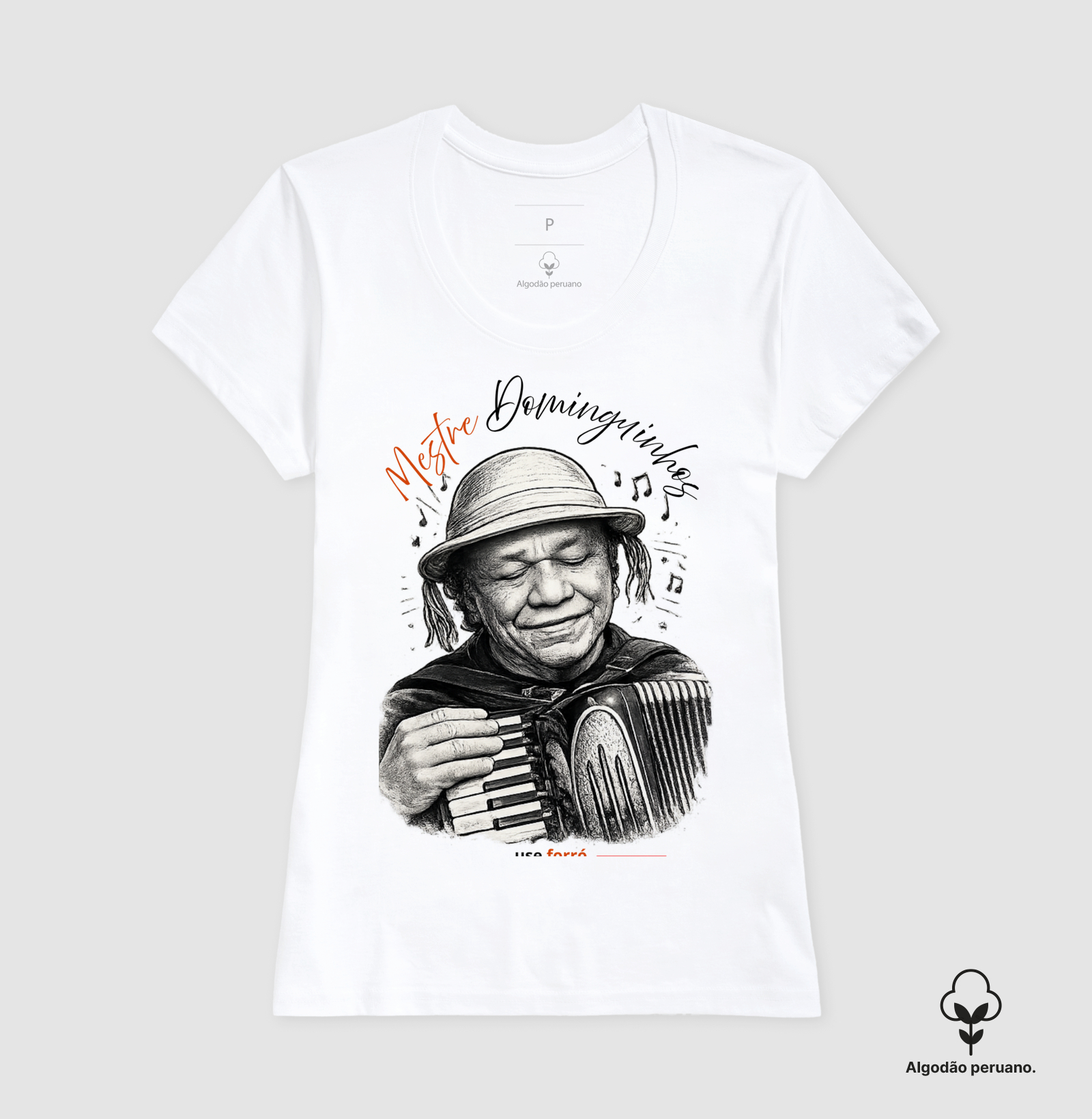Mestre Dominguinhos - Imagem 3