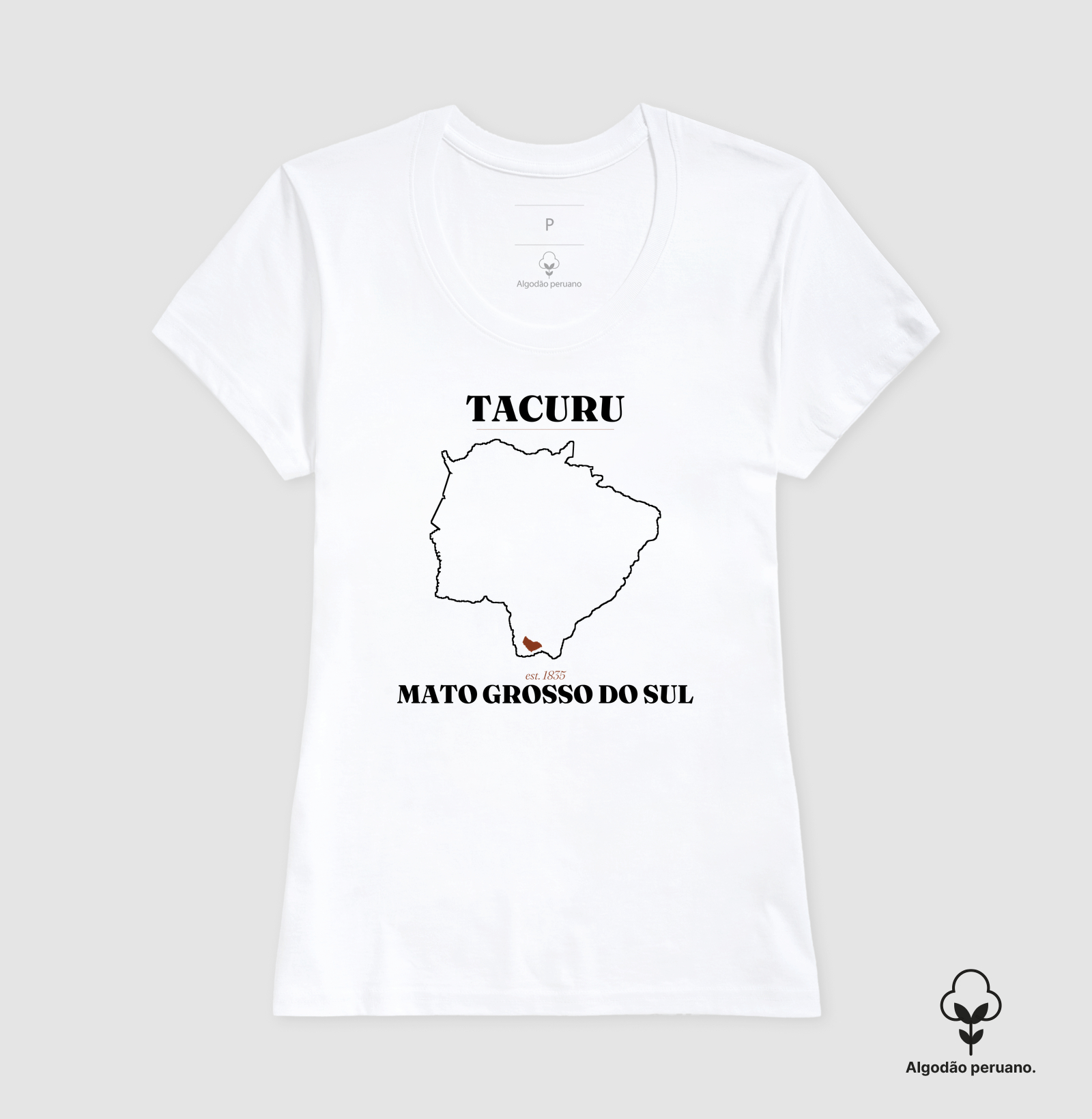 Tacuru | Legado MS - Imagem 2