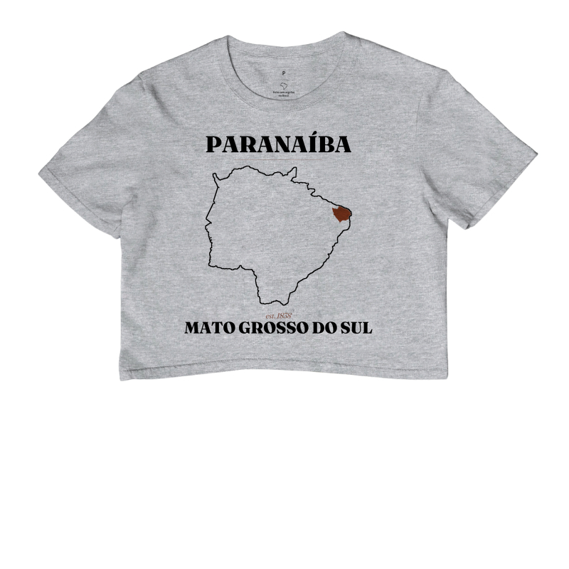 Paranaíba | Legado MS - Imagem 6