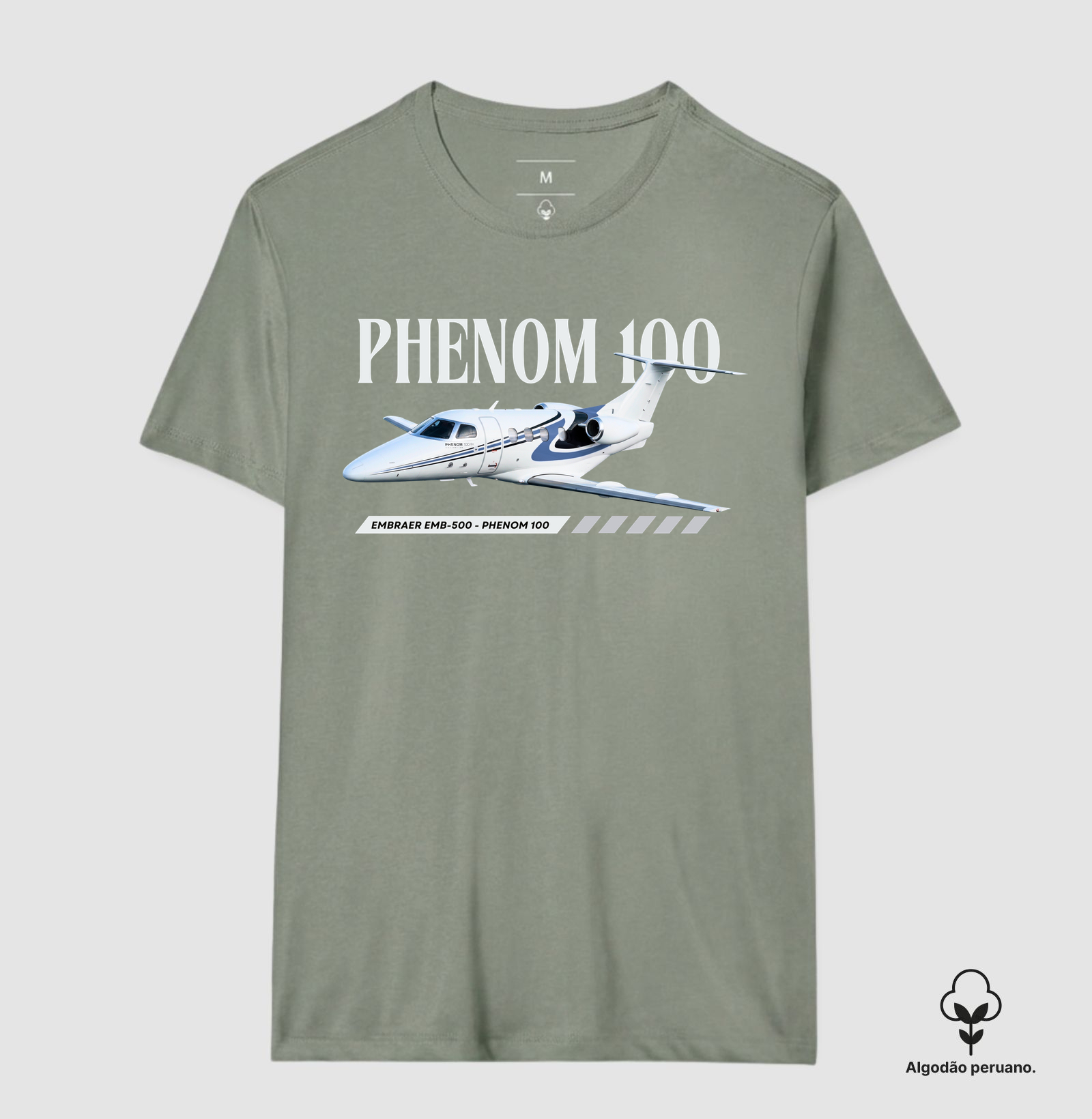 Embraer Phenom 100 - PR-PER - Imagem 6