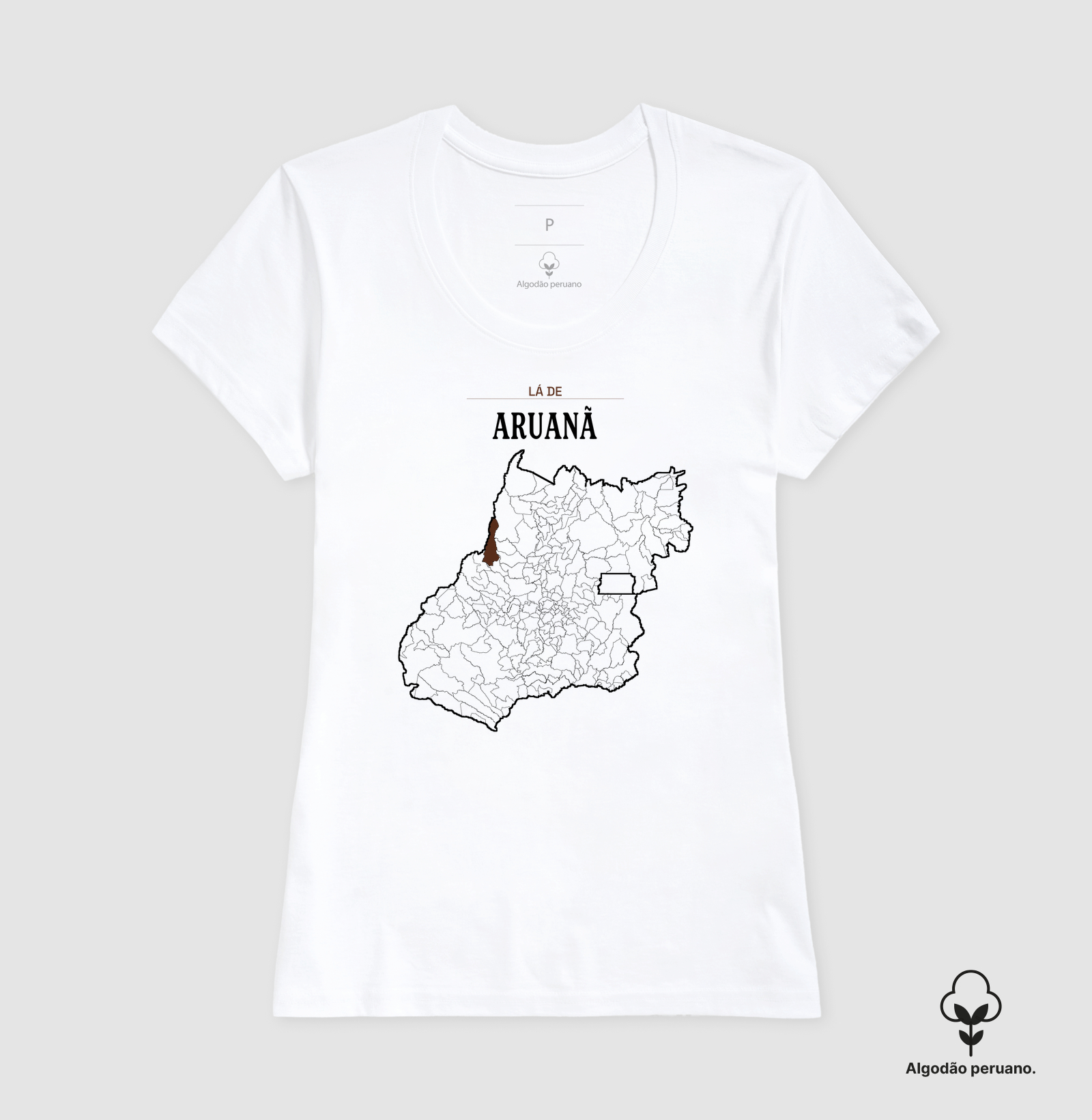 Aruanã | Território GO - Imagem 7