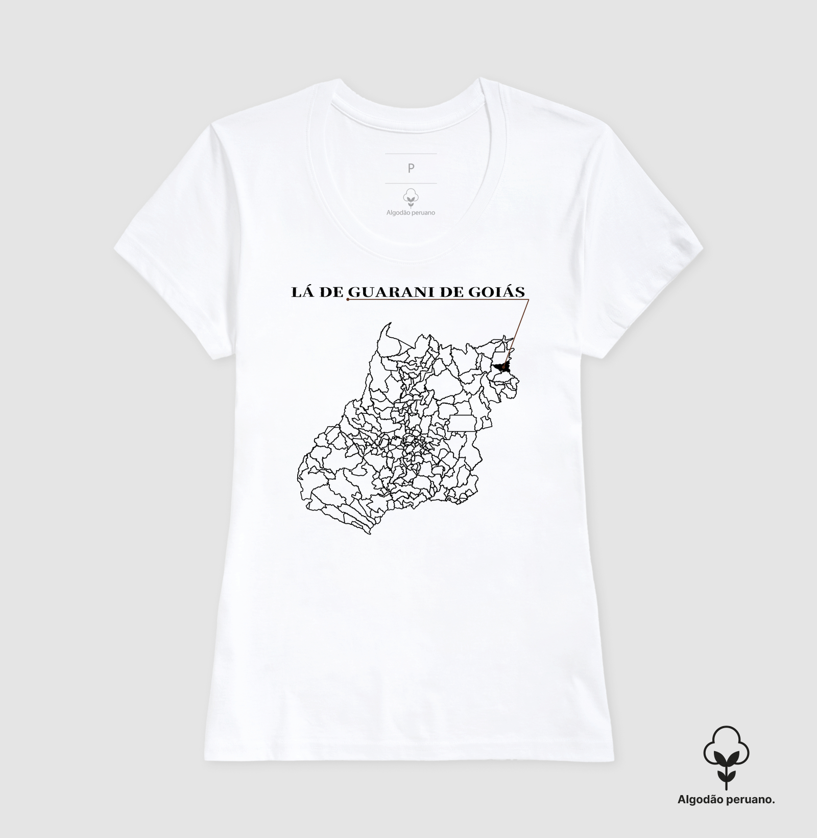 Guarani de Goiás | Origem GO - Imagem 8