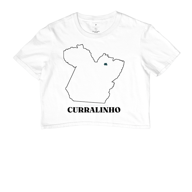 Curralinho | Traço PA - Imagem 3