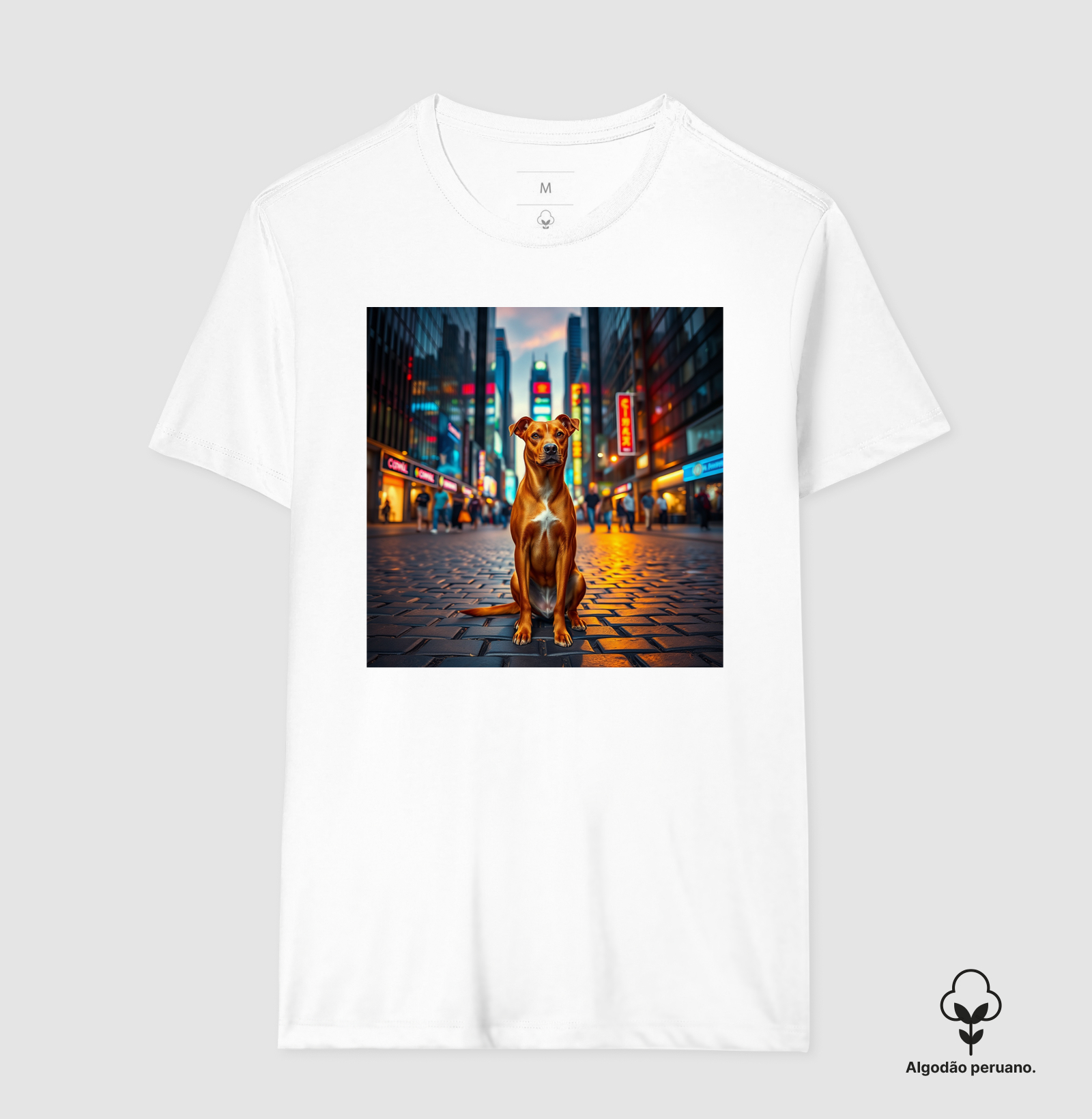 Camisa 4