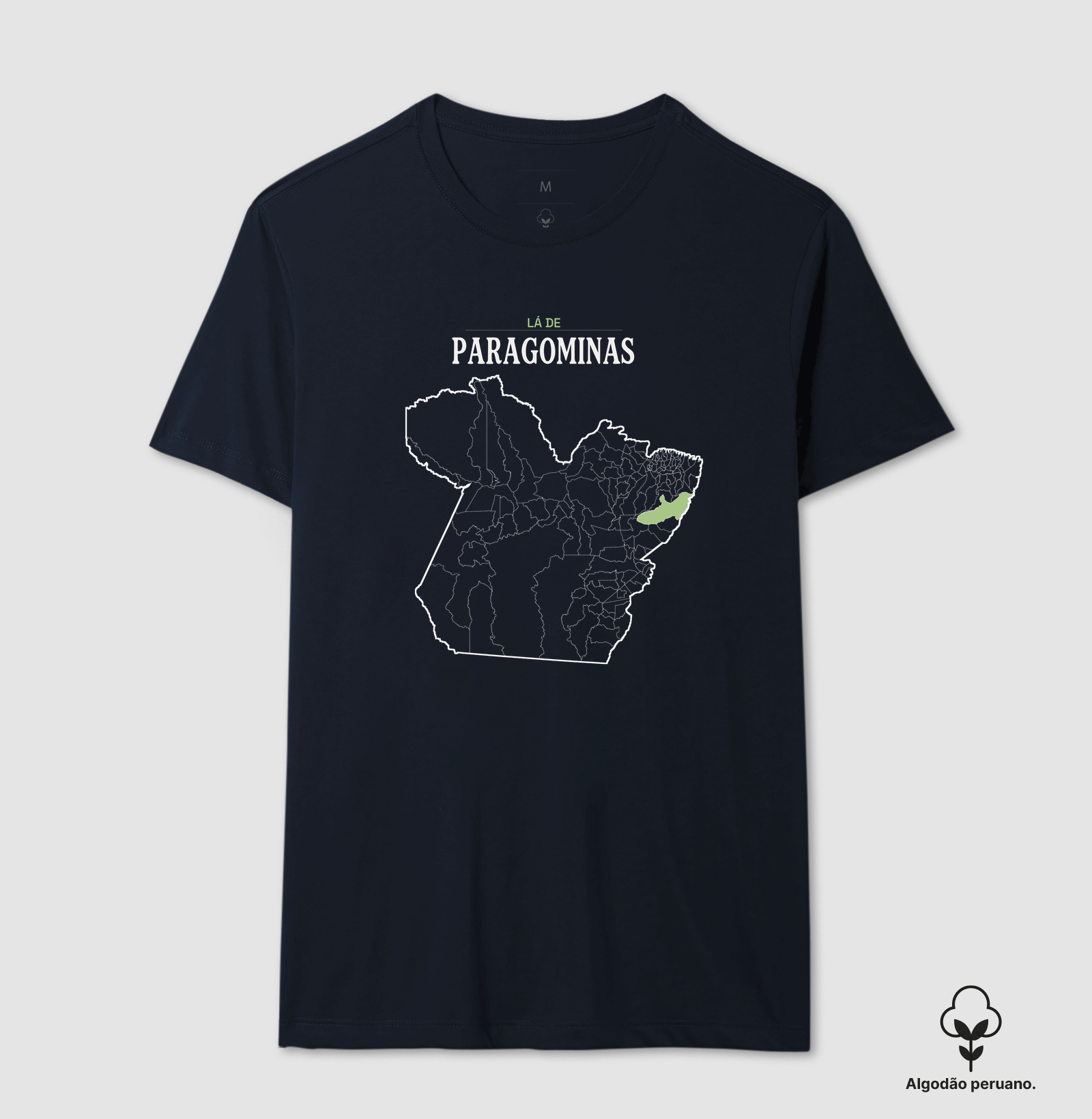 Paragominas | Território PA - Imagem 9