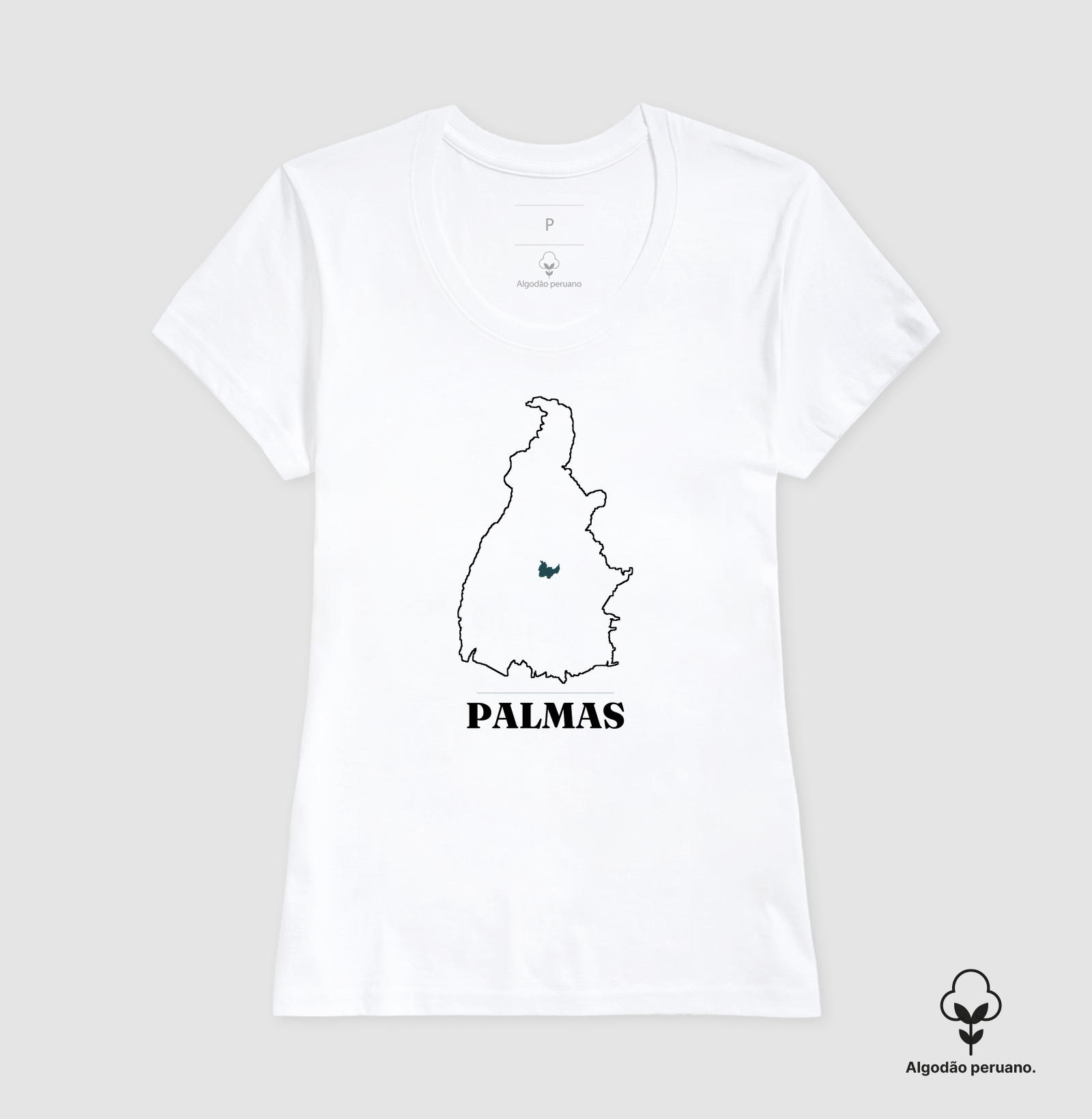 Palmas | Traço TO - Imagem 6