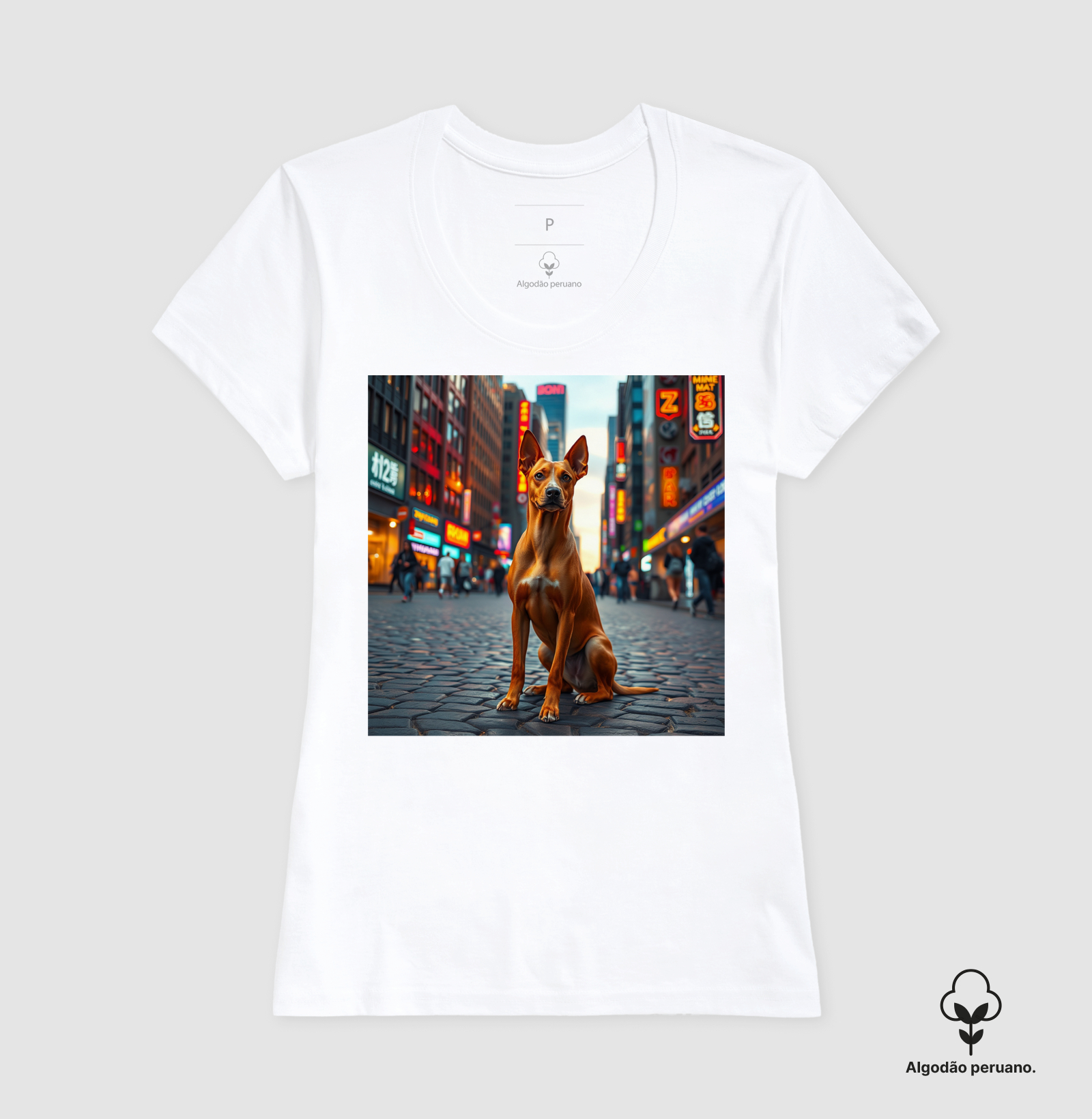 Camisa 6