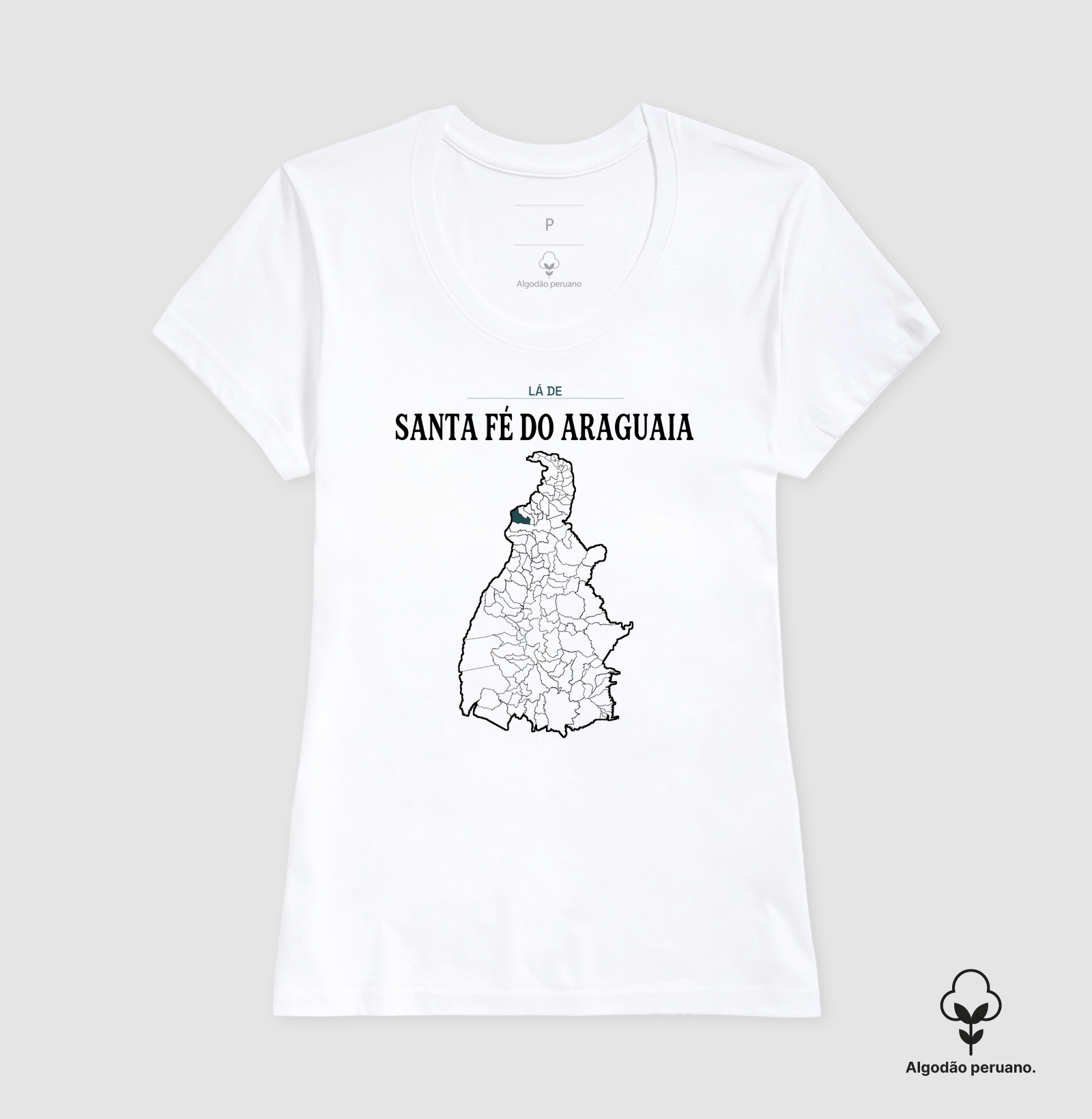 Santa Fé do Araguaia | Território TO - Imagem 2