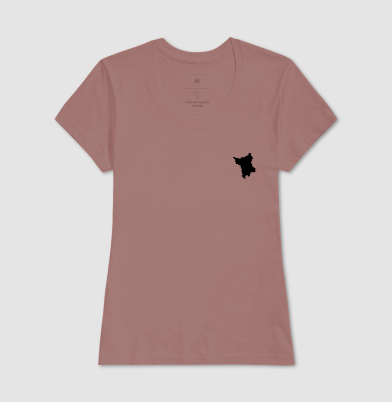 Roraima | Minimalista - Imagem 17