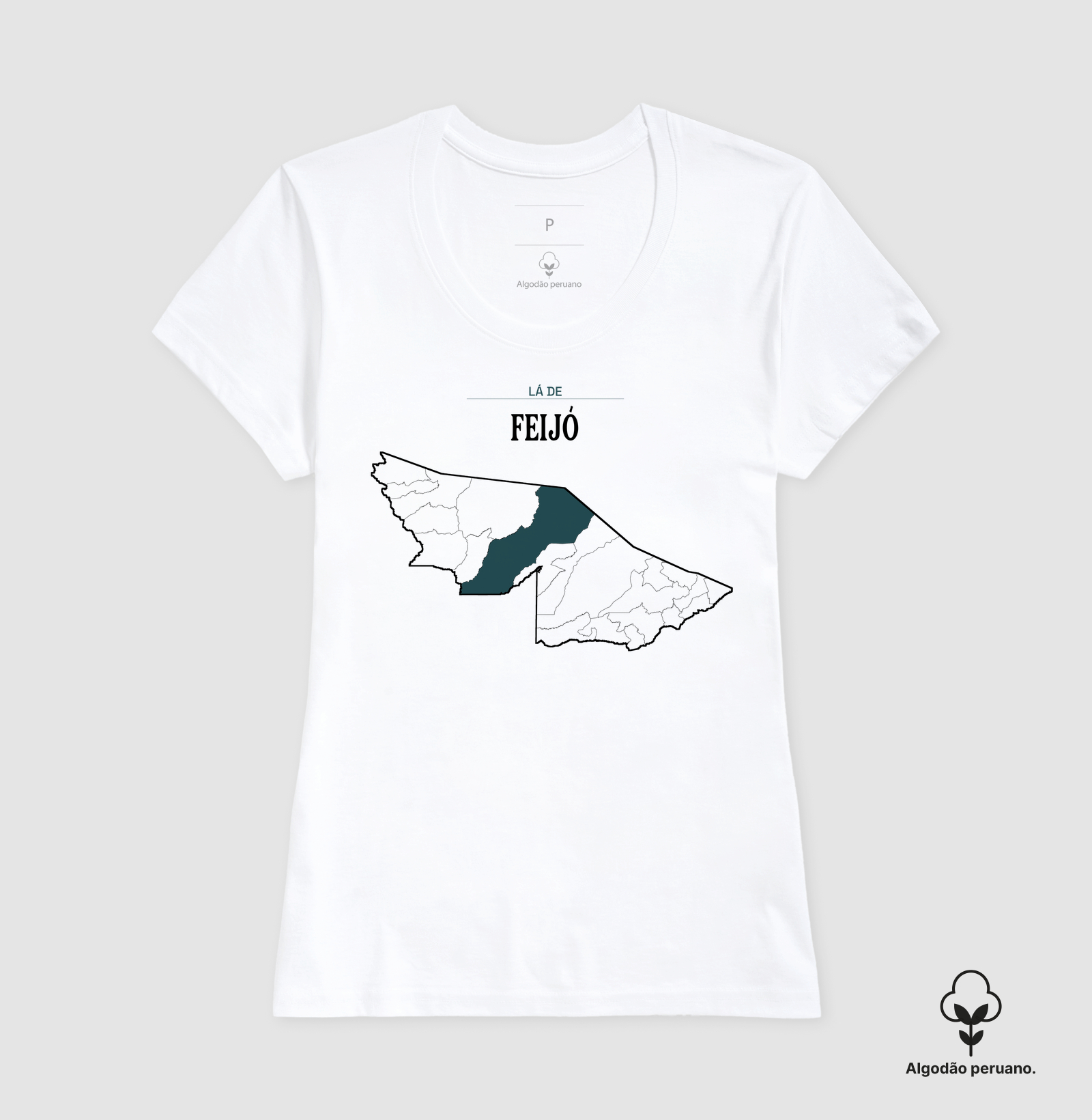 Feijó | Território AC - Imagem 5