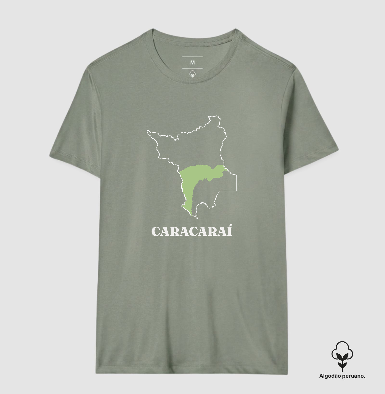 Caracaraí | Traço RR - Imagem 5