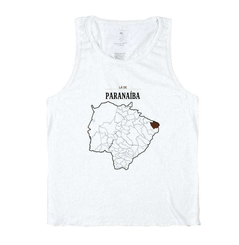 Paranaíba | Território MS - Imagem 2