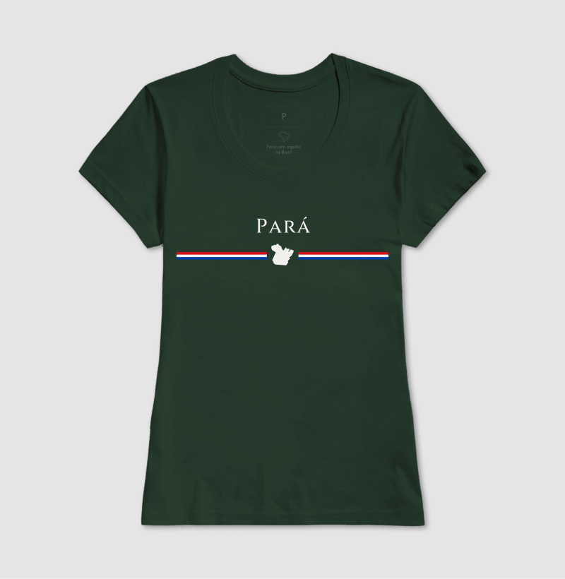 Pará | Tradição - Imagem 13