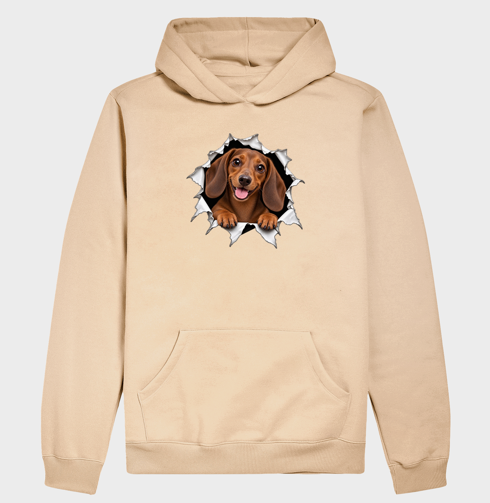 Dachshund Saindo Pelo Rasgo - Imagem 5