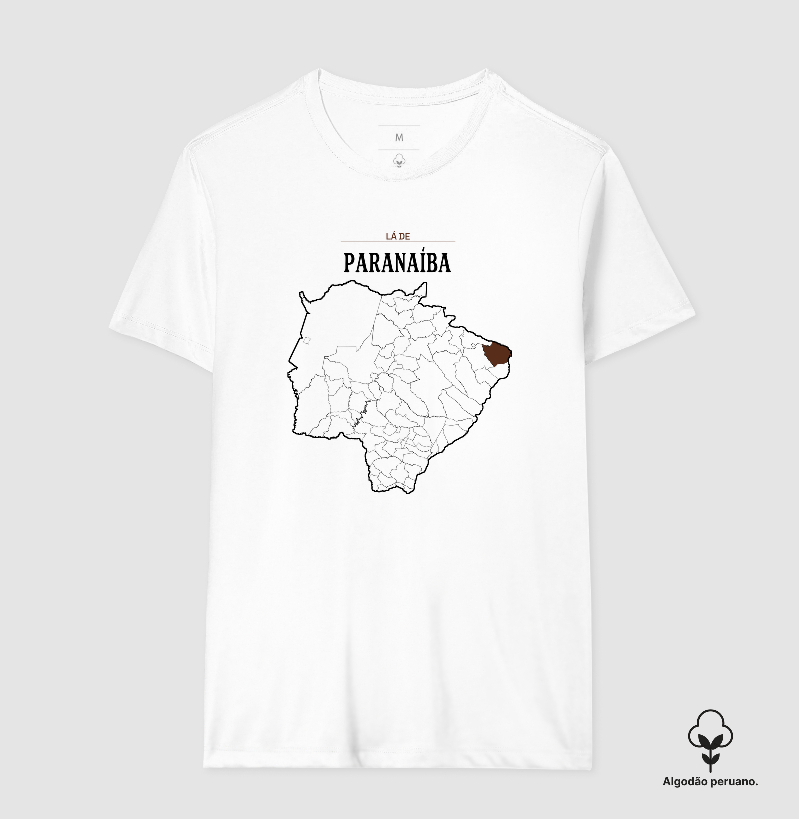 Paranaíba | Território MS - Imagem 4