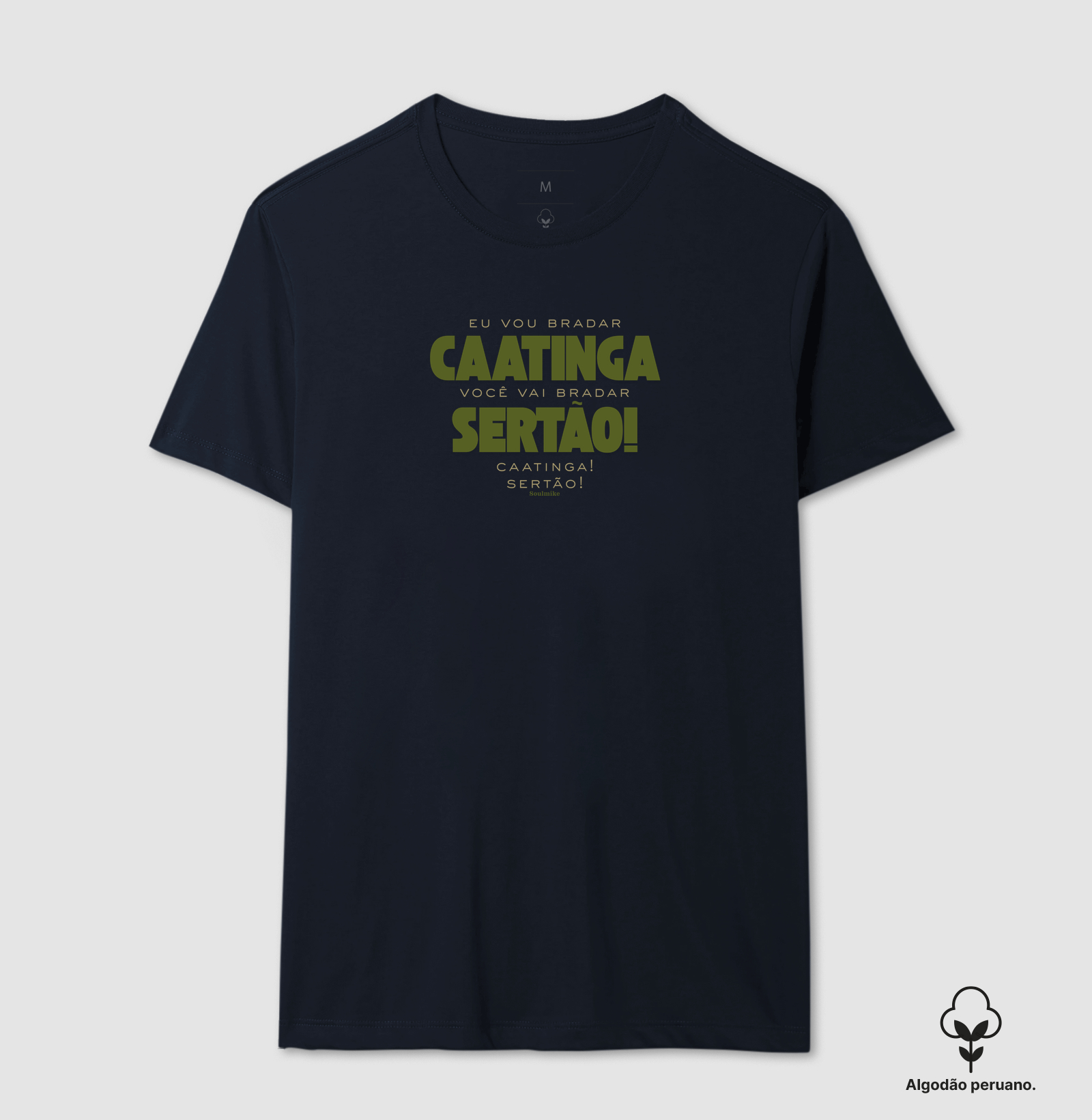 Eu vou bradar Caatinga - Imagem 9