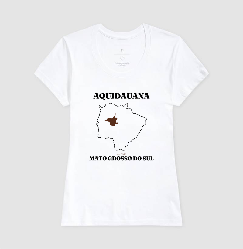 Aquidauana | Legado MS - Imagem 5