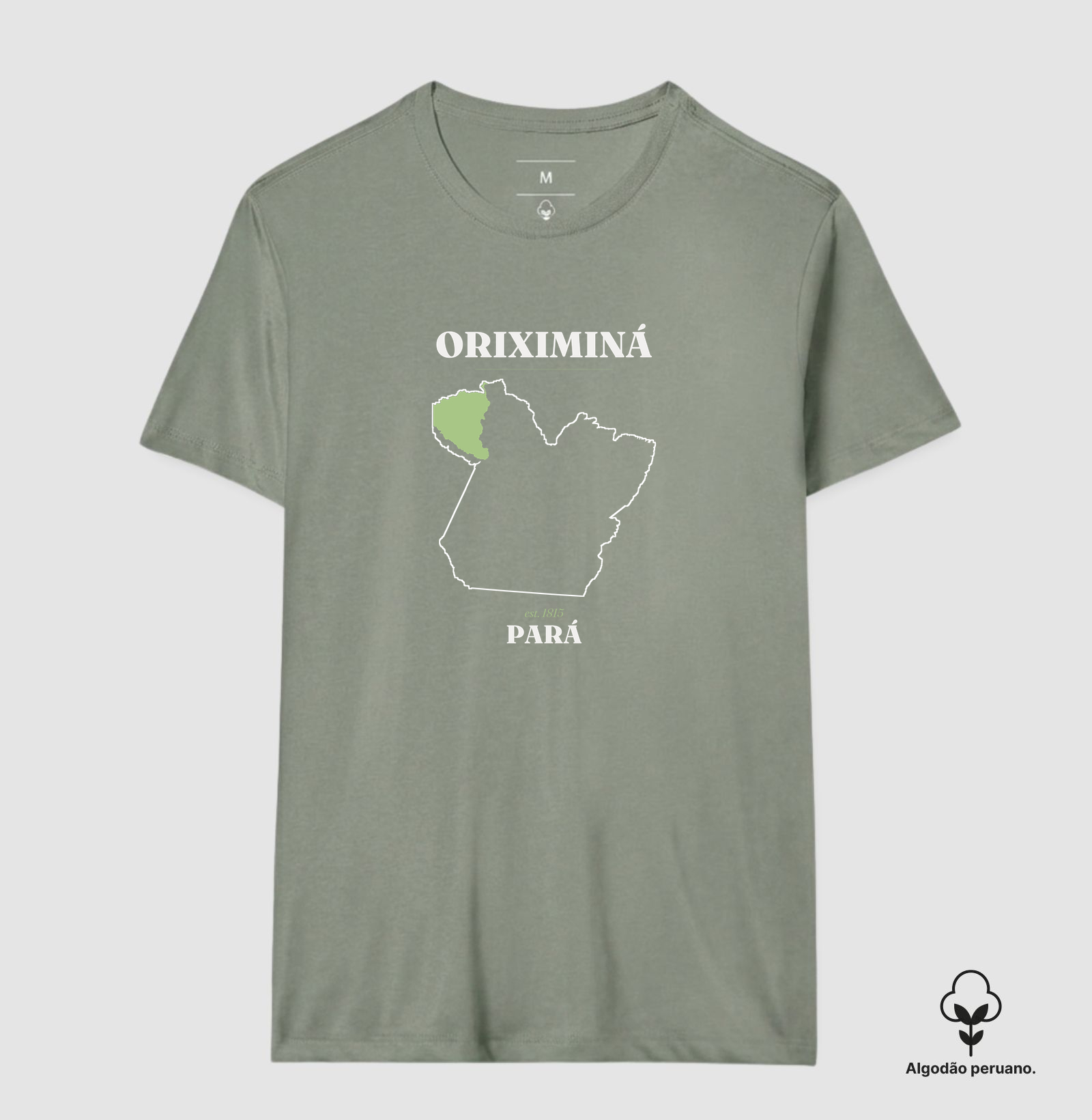 Oriximiná | Legado PA - Imagem 4