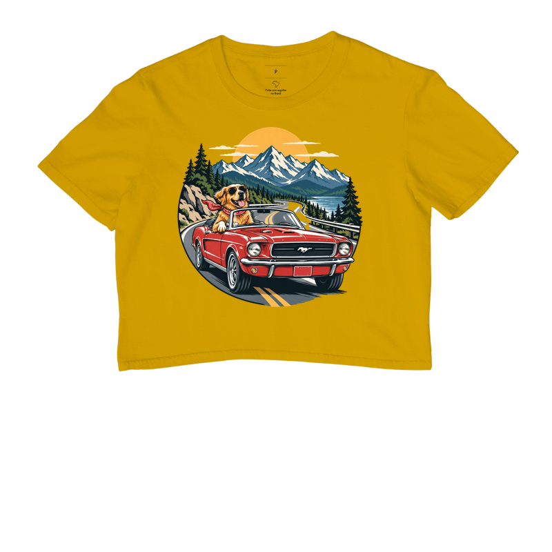 Road Trip - Imagem 8