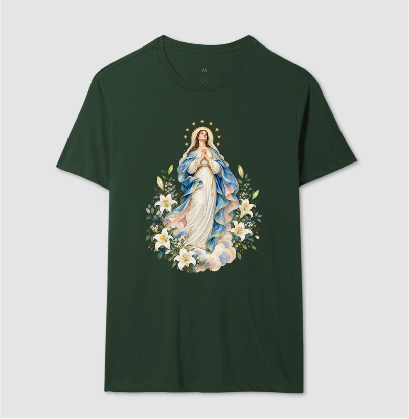 Nossa Senhora entre Flores e Estrelas - Imagem 6