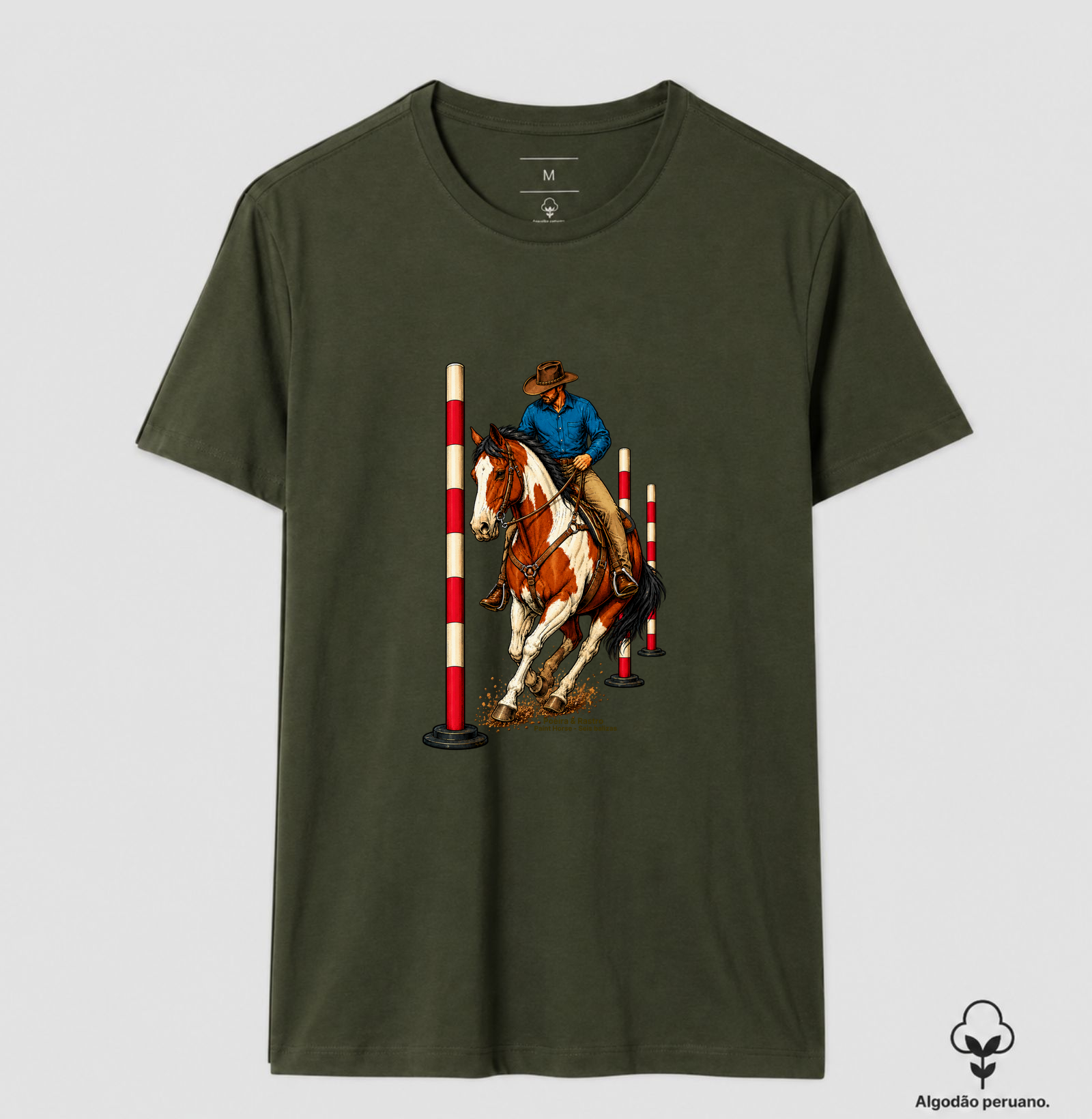 Paint Horse - Seis Balizas. - Imagem 6