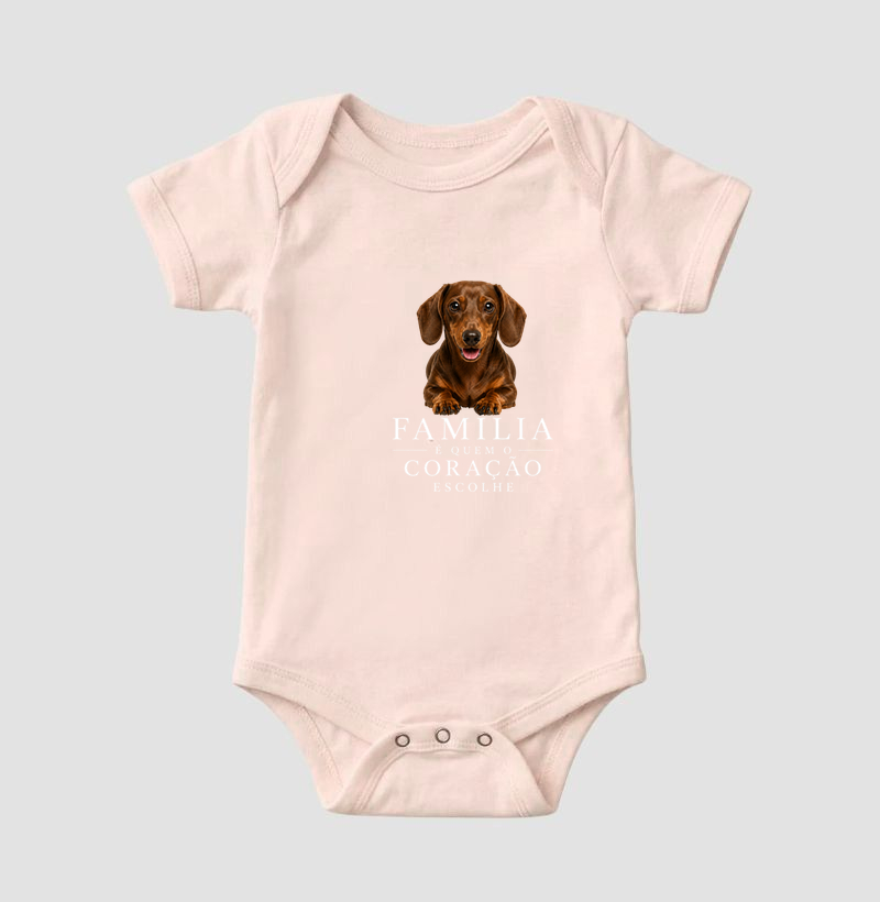 Dachshund Marrom - Família - Imagem 5