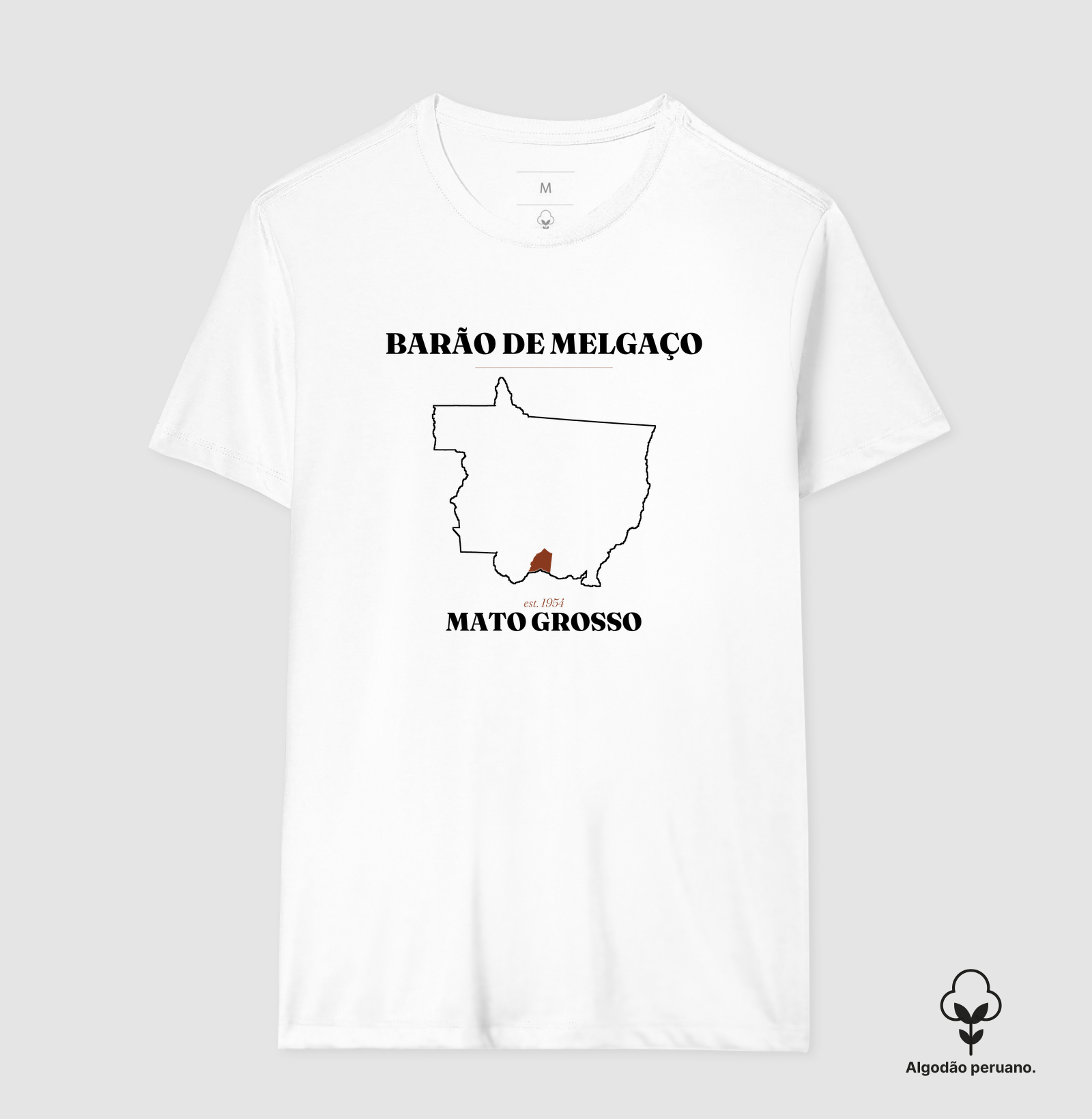 Barão de Melgaço | Legado MT - Imagem 6