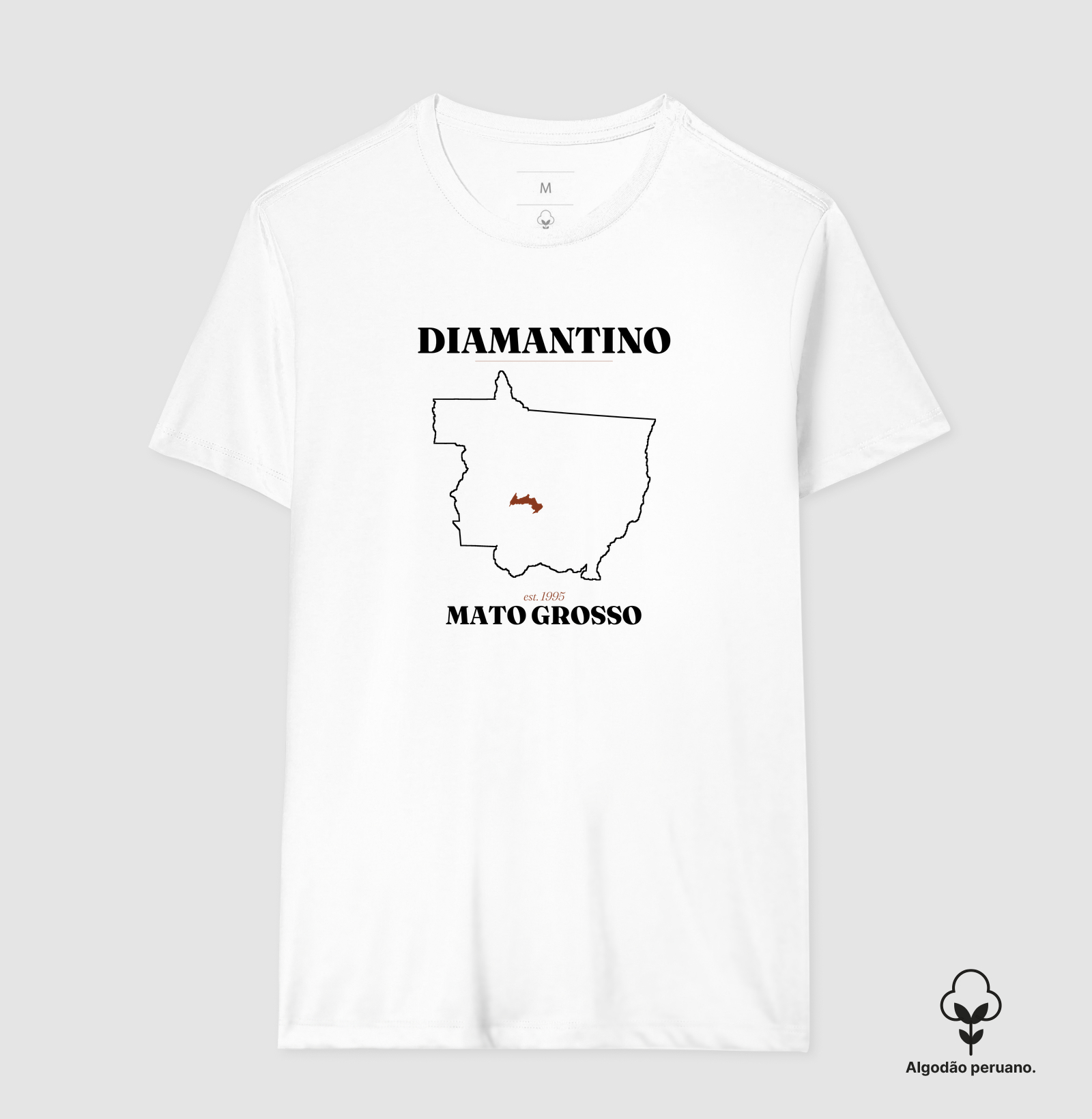 Diamantino | Legado MT - Imagem 7