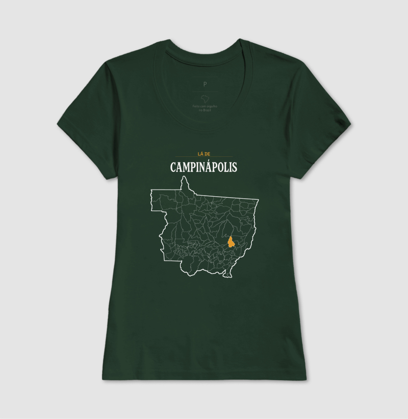 Campinápolis | Território MT - Imagem 13