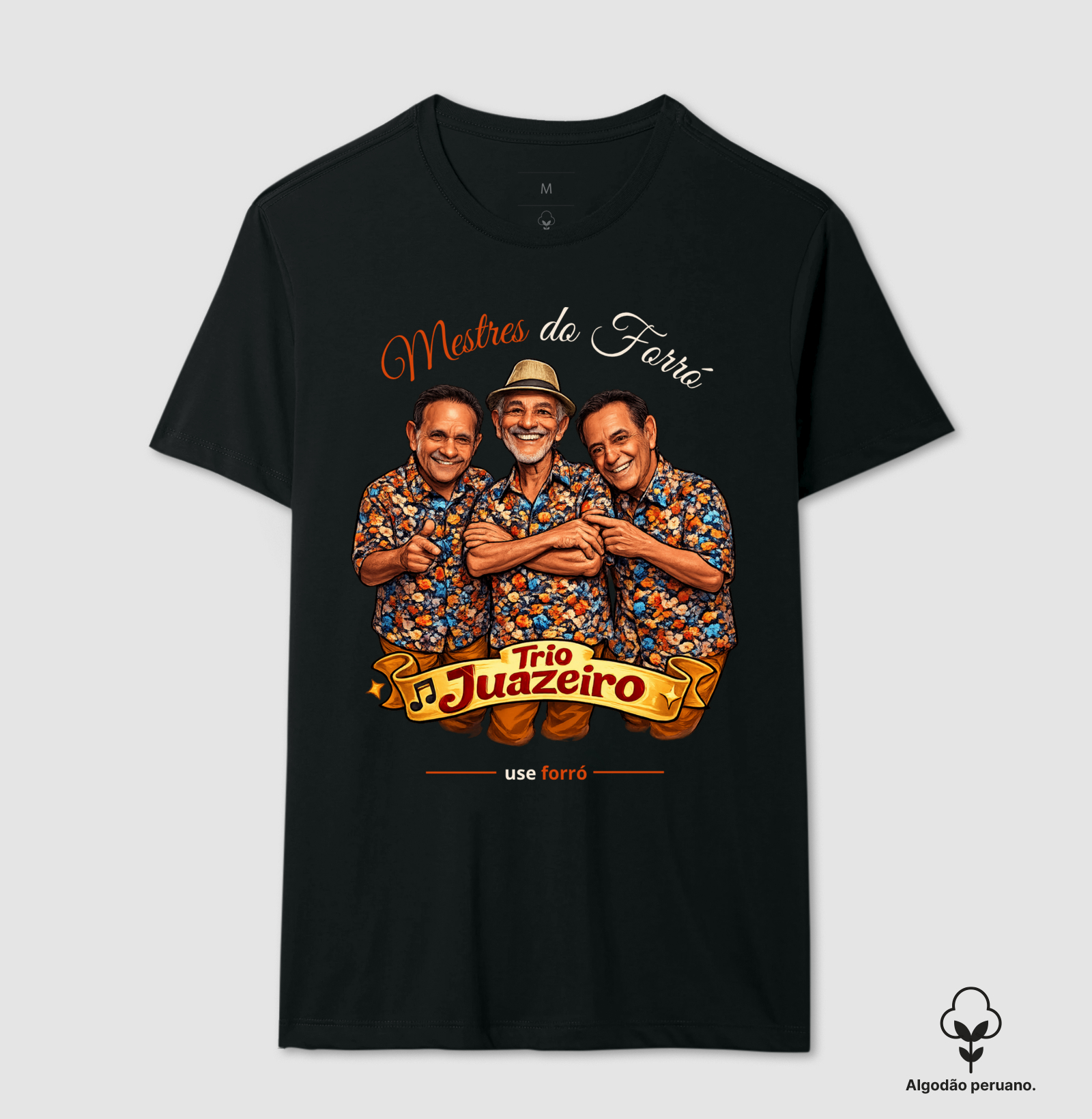 Trio Juazeiro - Imagem 6