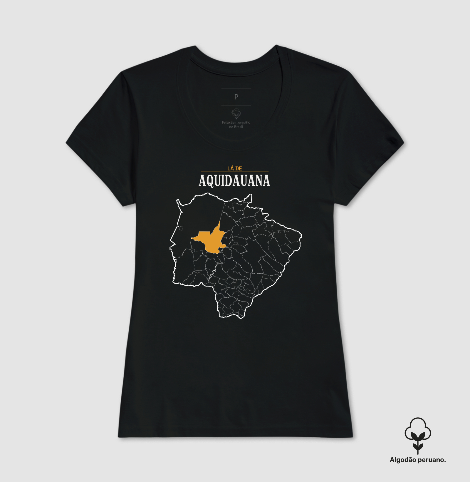 Aquidauana | Território MS - Imagem 7